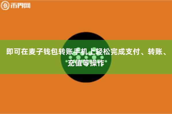 即可在麦子钱包转账手机上轻松完成支付、转账、充值等操作