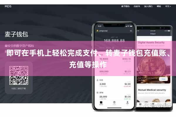 即可在手机上轻松完成支付、转麦子钱包充值账、充值等操作