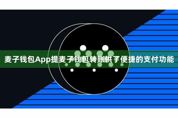 麦子钱包App提麦子钱包转账供了便捷的支付功能