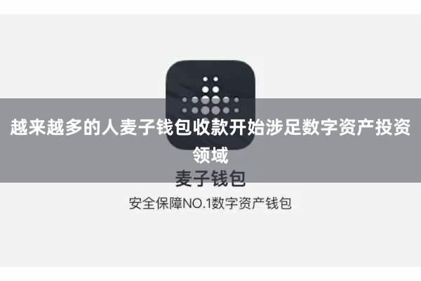 越来越多的人麦子钱包收款开始涉足数字资产投资领域