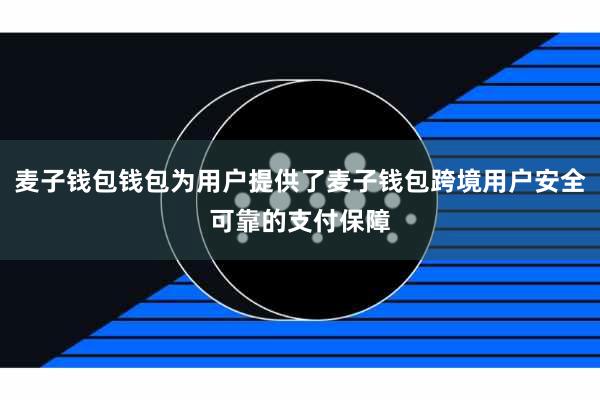麦子钱包钱包为用户提供了麦子钱包跨境用户安全可靠的支付保障