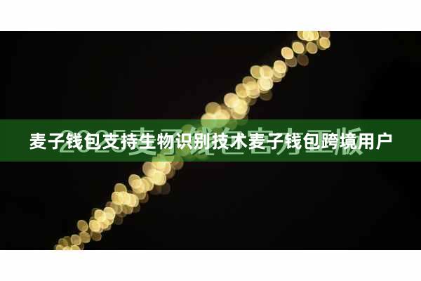 麦子钱包支持生物识别技术麦子钱包跨境用户