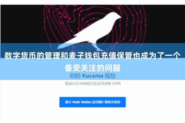 数字货币的管理和麦子钱包充值保管也成为了一个备受关注的问题