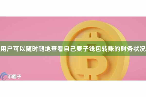 用户可以随时随地查看自己麦子钱包转账的财务状况