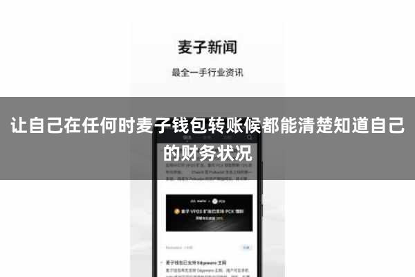 让自己在任何时麦子钱包转账候都能清楚知道自己的财务状况
