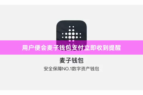用户便会麦子钱包支付立即收到提醒