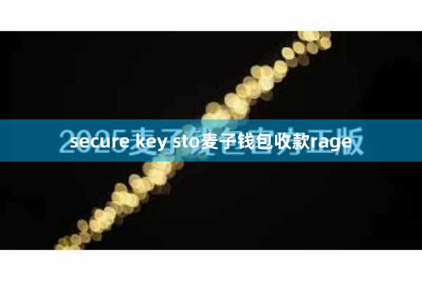 secure key sto麦子钱包收款rage