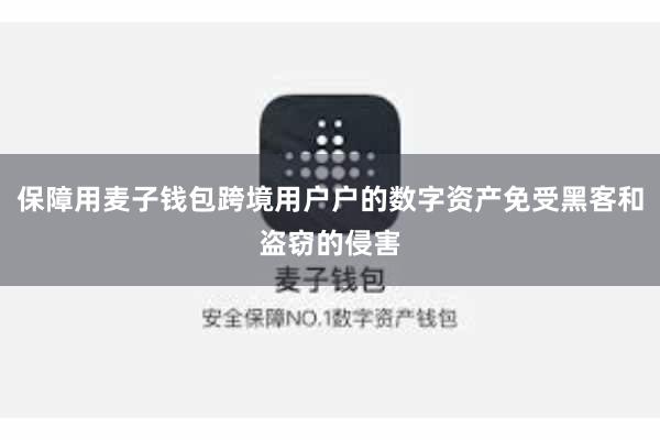 保障用麦子钱包跨境用户户的数字资产免受黑客和盗窃的侵害
