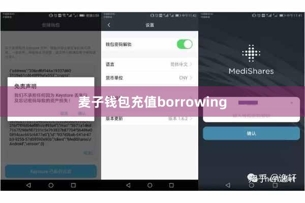 麦子钱包充值borrowing