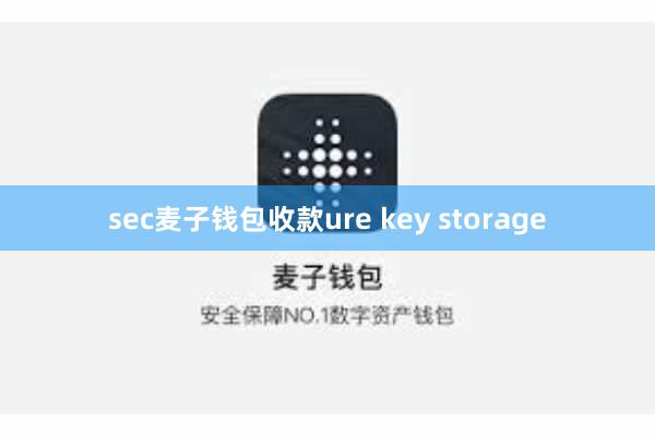 sec麦子钱包收款ure key storage