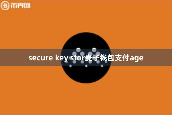 secure key stor麦子钱包支付age