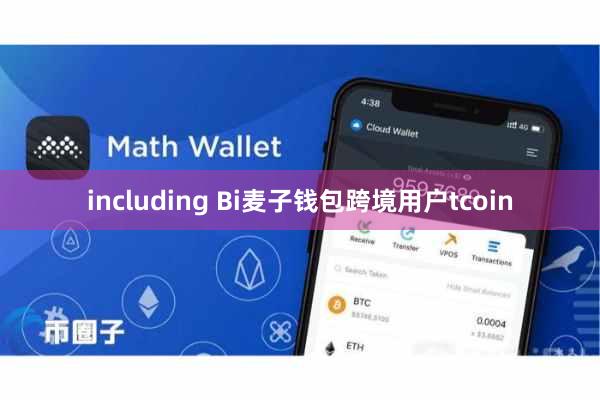 including Bi麦子钱包跨境用户tcoin