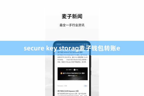 secure key storag麦子钱包转账e