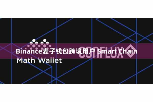 Binance麦子钱包跨境用户 Smart Chain