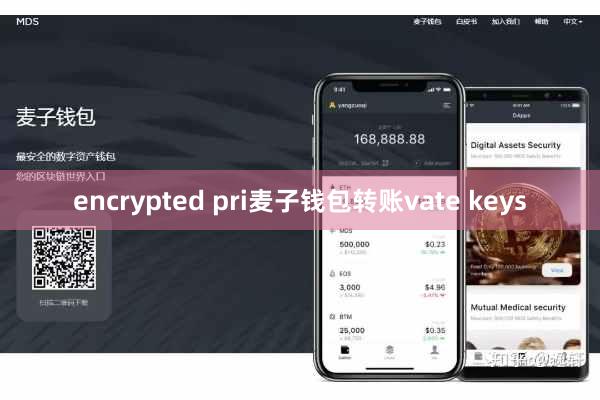 encrypted pri麦子钱包转账vate keys