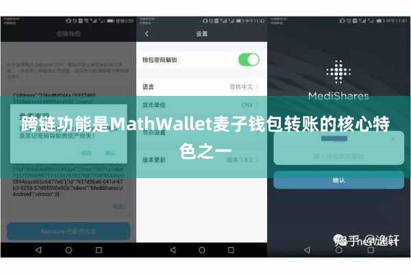 跨链功能是MathWallet麦子钱包转账的核心特色之一