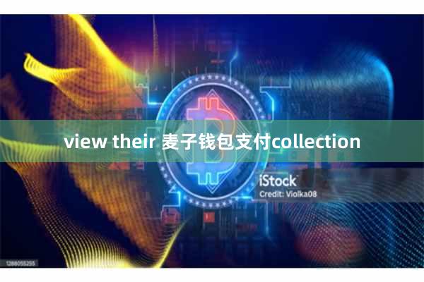 view their 麦子钱包支付collection