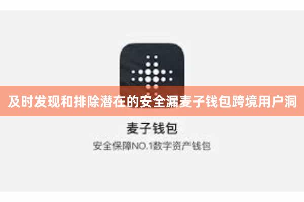 及时发现和排除潜在的安全漏麦子钱包跨境用户洞