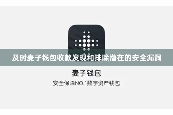 及时麦子钱包收款发现和排除潜在的安全漏洞