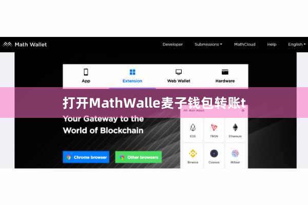 打开MathWalle麦子钱包转账t