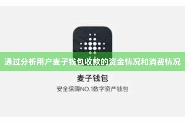 通过分析用户麦子钱包收款的资金情况和消费情况