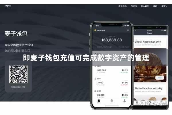 即麦子钱包充值可完成数字资产的管理