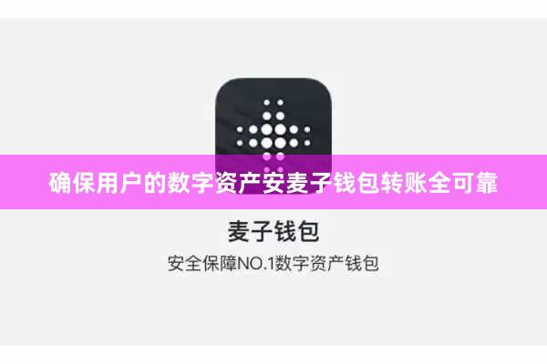 确保用户的数字资产安麦子钱包转账全可靠