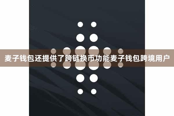 麦子钱包还提供了跨链换币功能麦子钱包跨境用户