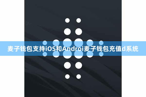 麦子钱包支持iOS和Androi麦子钱包充值d系统