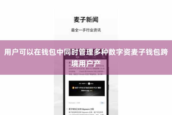 用户可以在钱包中同时管理多种数字资麦子钱包跨境用户产
