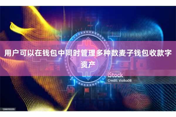 用户可以在钱包中同时管理多种数麦子钱包收款字资产