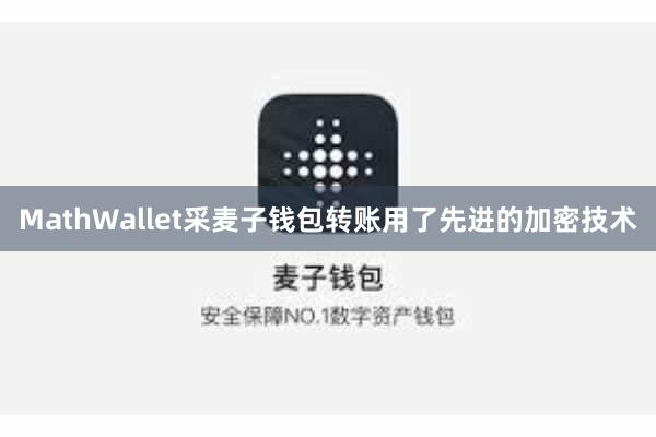 MathWallet采麦子钱包转账用了先进的加密技术